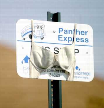 bra on panther express sign