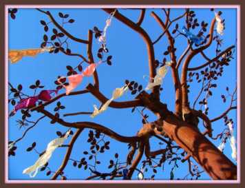 bras in tree